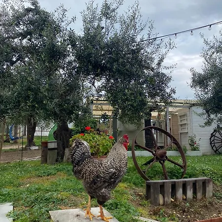 San Filippo Il Relax Della Campagna Con Vista Mare Porto SantʼElpidio